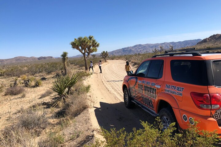 Joshua Tree National Park Offroad Tour - Photo 1 of 9